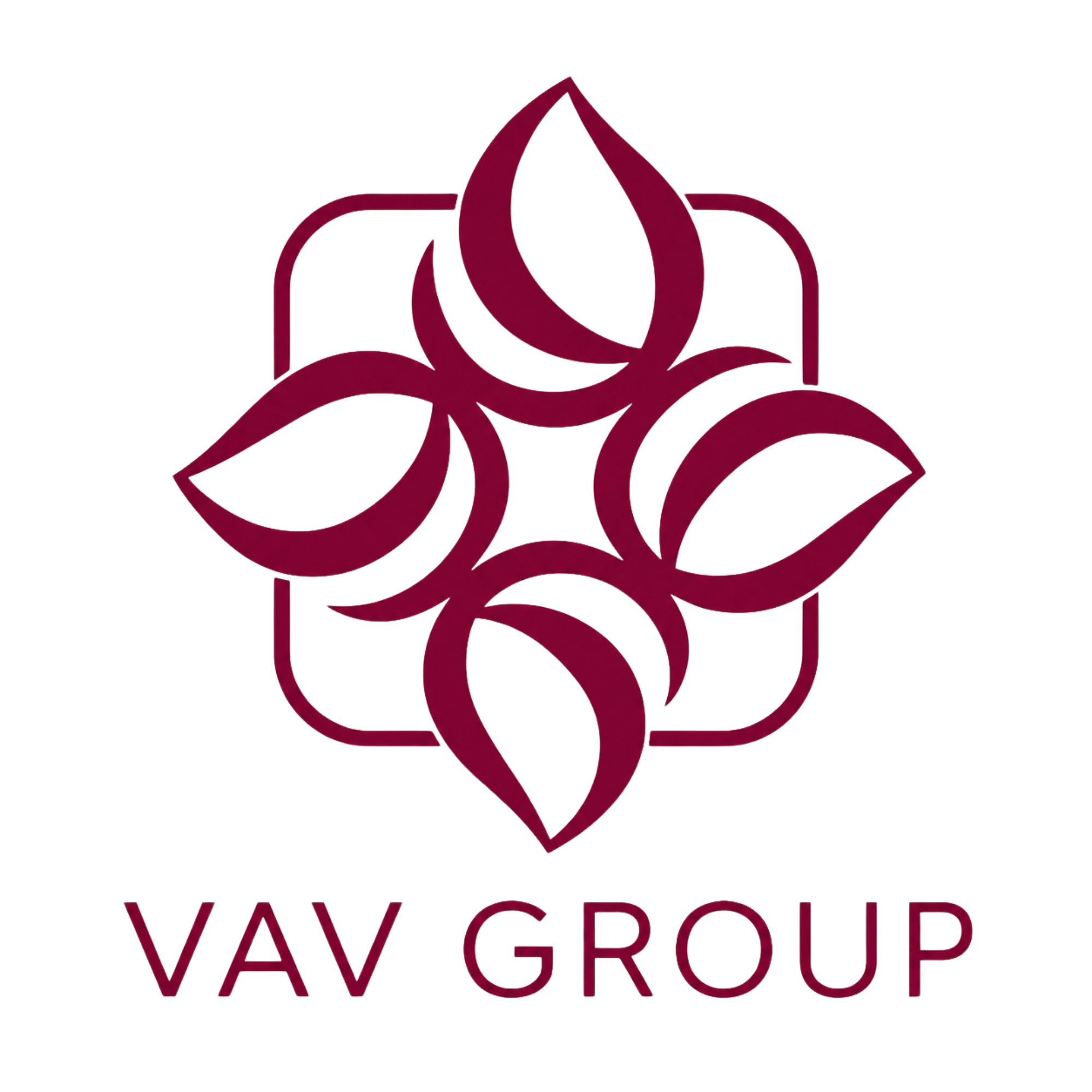 VAV Group - We are here to connect